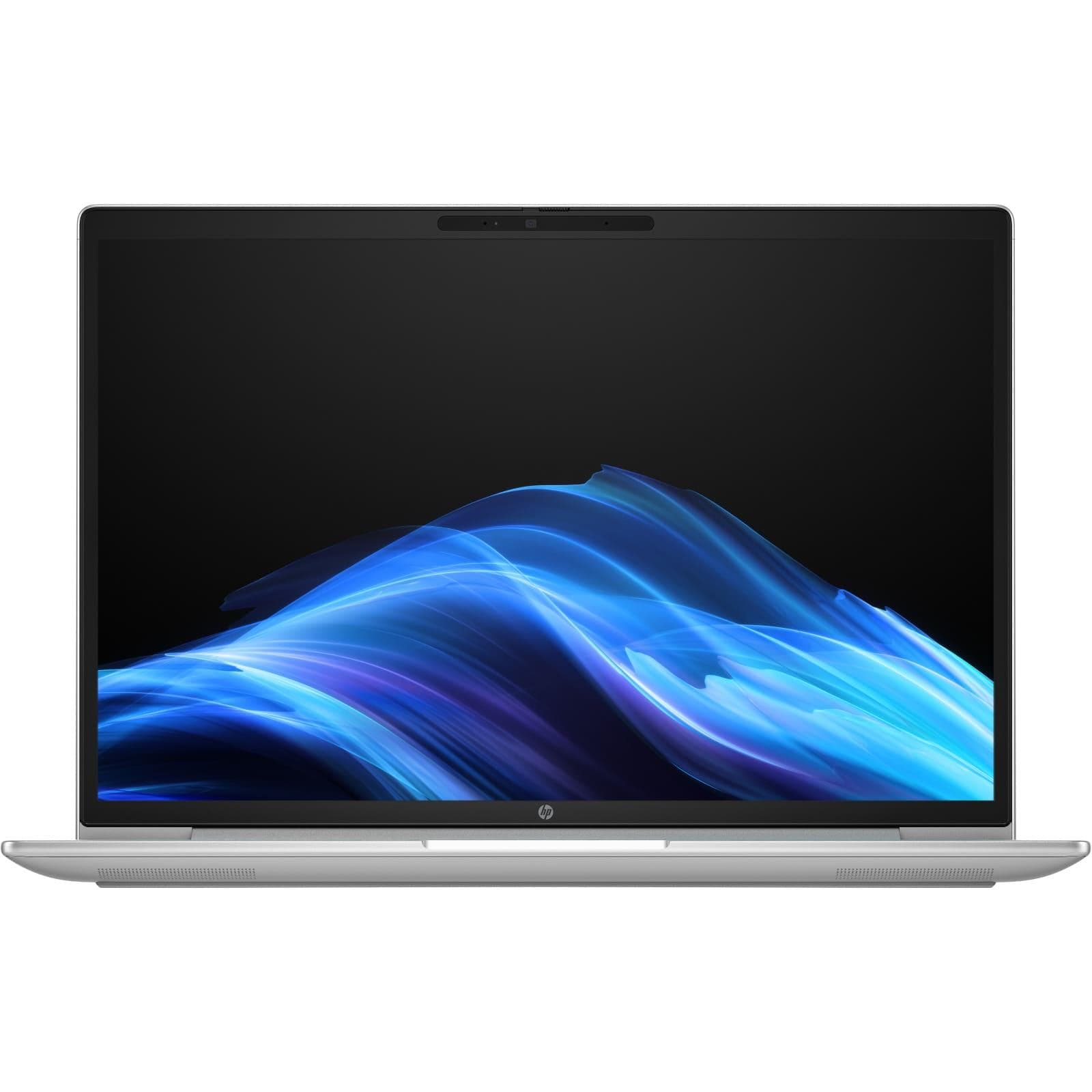 Ноутбук 14 HP ProBook 4 G1a 14 IPS/Ryzen 3 210/24GB/1TB/UMA/DOS/Silver